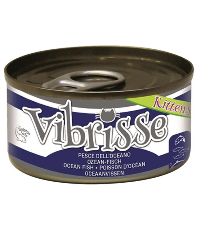 Vibrisse Kittens Cat Oceaanvis