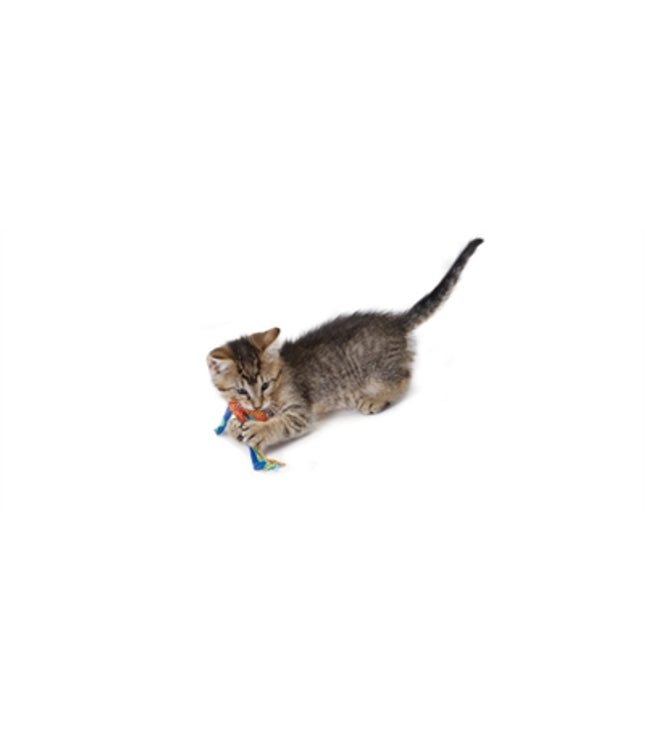 Catstages Catnip Dental Health Chew