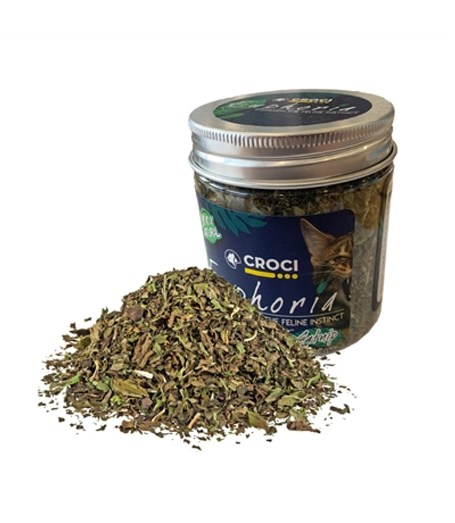Croci Euphoria Catnip Pot