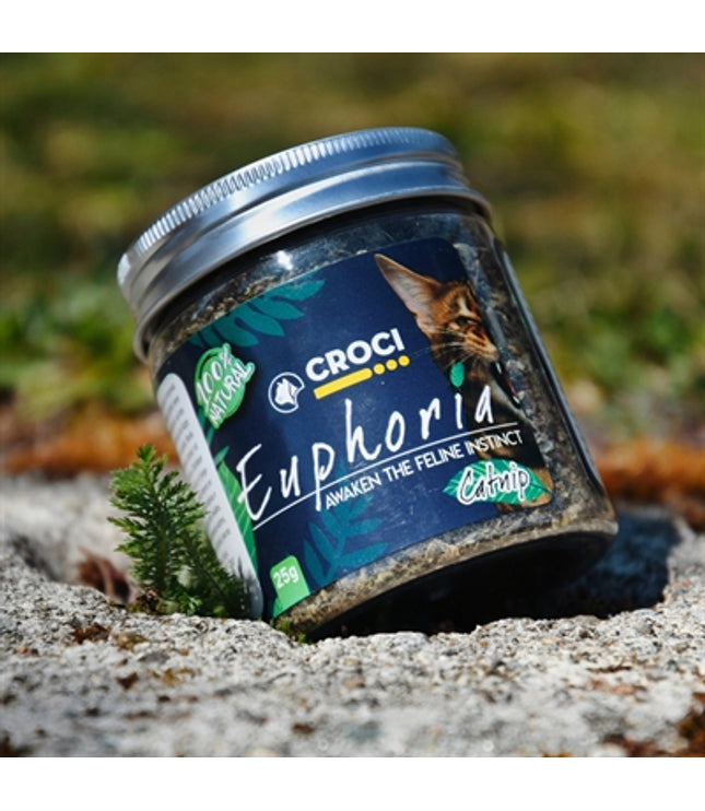 Croci Euphoria Catnip Pot