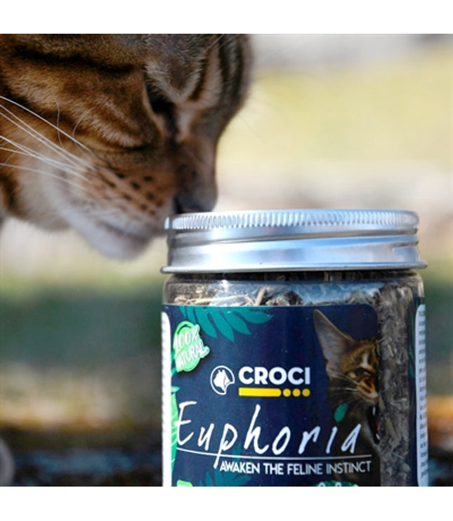 Croci Euphoria Catnip Pot