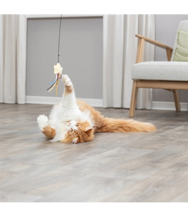 Trixie Kattenhengel Ster Kunststof / Pluche Met Catnip