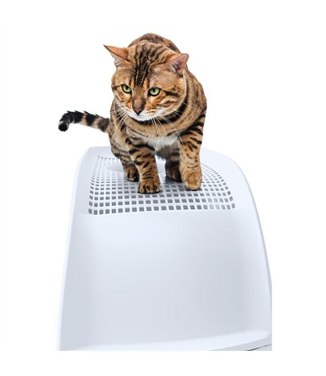Imac Kattenbak Frida Met Lade Groen