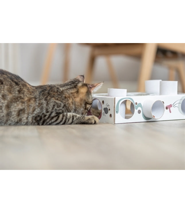 Trixie Cat Activity Paws'n'treats Box Karton