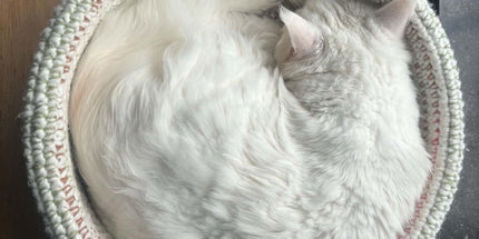 Handgehaakte Kattenmand - Multi